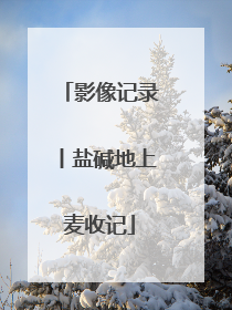 影像记录丨盐碱地上麦收记
