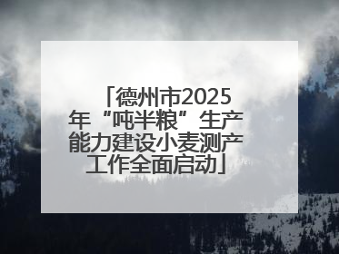 德州市2025年“吨半粮”生产能力建设小麦测产工作全面启动