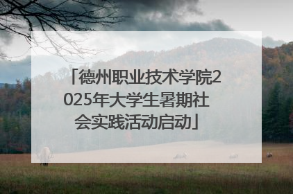 德州职业技术学院2025年大学生暑期社会实践活动启动