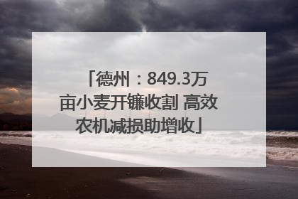 德州：849.3万亩小麦开镰收割 高效农机减损助增收
