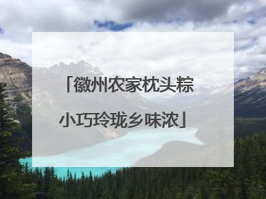 徽州农家枕头粽 小巧玲珑乡味浓