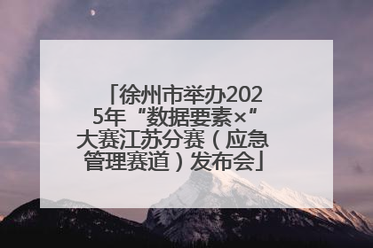 徐州市举办2025年“数据要素×”大赛江苏分赛（应急管理赛道）发布会