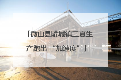 微山县驩城镇三夏生产跑出 “加速度”