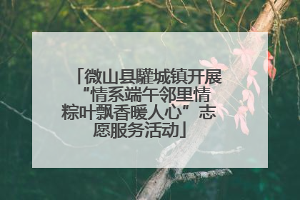 微山县驩城镇开展“情系端午邻里情 粽叶飘香暖人心”志愿服务活动