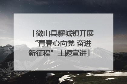 微山县驩城镇开展“青春心向党 奋进新征程”主题宣讲