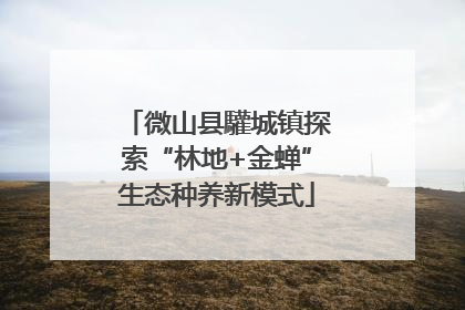 微山县驩城镇探索“林地+金蝉”生态种养新模式