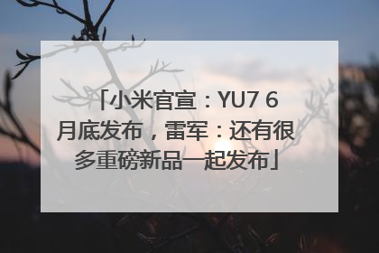 小米官宣：YU7 6月底发布，雷军：还有很多重磅新品一起发布