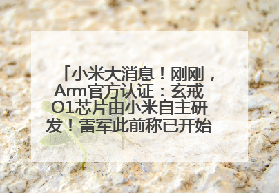 小米大消息！刚刚，Arm官方认证：玄戒O1芯片由小米自主研发！雷军此前称已开始大规模量产