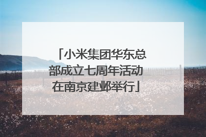 小米集团华东总部成立七周年活动在南京建邺举行