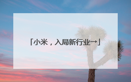 小米，入局新行业→
