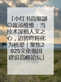小红书高级副总裁汤维维：当技术深植人文之心，边界终将化为桥梁｜聚焦2025文化强国建设高峰论坛