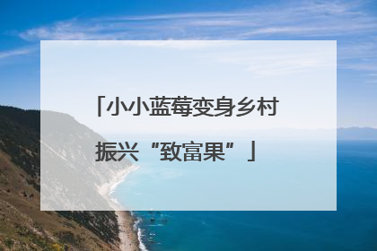 小小蓝莓变身乡村振兴“致富果”