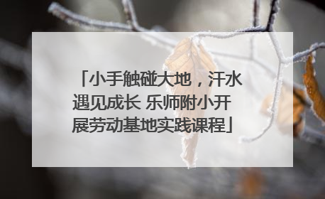 小手触碰大地，汗水遇见成长 乐师附小开展劳动基地实践课程