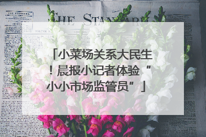 小菜场关系大民生！晨报小记者体验“小小市场监管员”