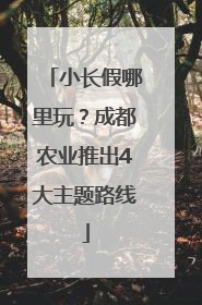 小长假哪里玩？成都农业推出4大主题路线