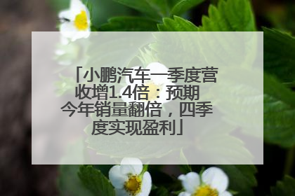 小鹏汽车一季度营收增1.4倍：预期今年销量翻倍，四季度实现盈利