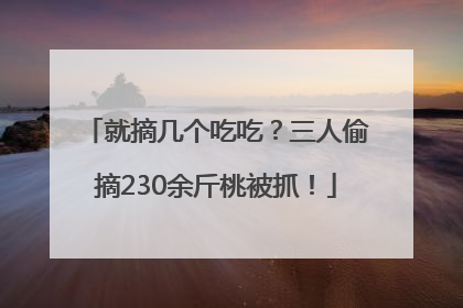 就摘几个吃吃？三人偷摘230余斤桃被抓！