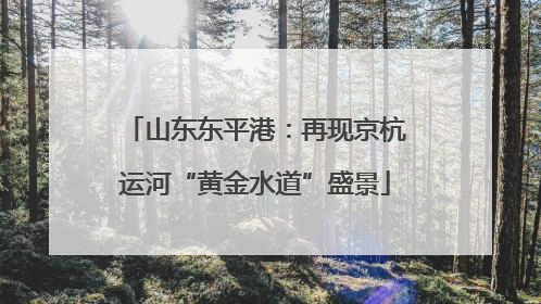 山东东平港：再现京杭运河“黄金水道”盛景