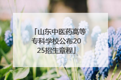 山东中医药高等专科学校公布2025招生章程