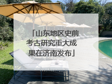 山东地区史前考古研究重大成果在济南发布