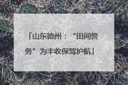 山东德州：“田间警务”为丰收保驾护航