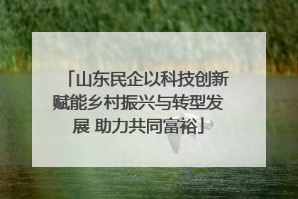 山东民企以科技创新赋能乡村振兴与转型发展 助力共同富裕