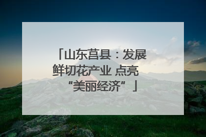 山东莒县：发展鲜切花产业 点亮“美丽经济”