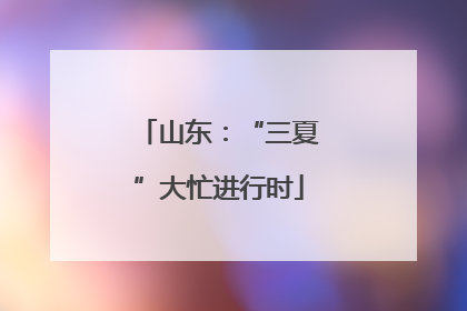 山东：“三夏”大忙进行时