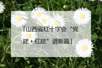 山西省红十字会“党建＋红建”谱新篇