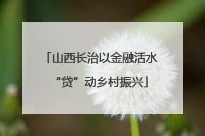 山西长治以金融活水“贷”动乡村振兴