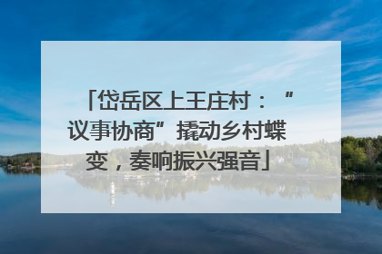 岱岳区上王庄村：“议事协商”撬动乡村蝶变，奏响振兴强音