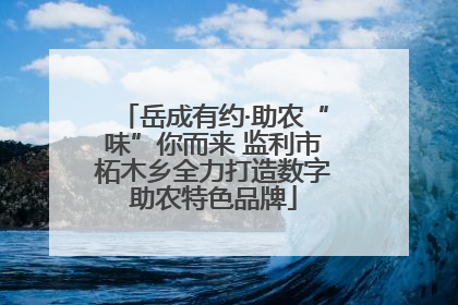 岳成有约·助农“味”你而来 监利市柘木乡全力打造数字助农特色品牌