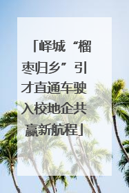 峄城“榴枣归乡”引才直通车驶入校地企共赢新航程