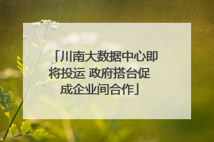 川南大数据中心即将投运 政府搭台促成企业间合作