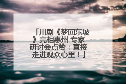川剧《梦回东坡》亮相惠州 专家研讨会点赞：直接走进观众心里！