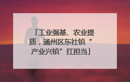 工业强基、农业提质，通州区东社镇“产业兴镇”扛担当