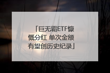 巨无霸ETF慷慨分红 单次金额有望创历史纪录