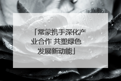 常蒙携手深化产业合作 共塑绿色发展新动能