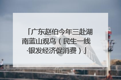 广东赵伯今年三赴湖南蓝山观鸟（民生一线·银发经济促消费）