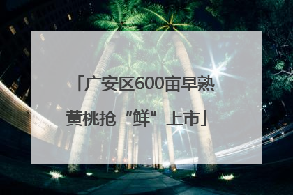 广安区600亩早熟黄桃抢“鲜”上市