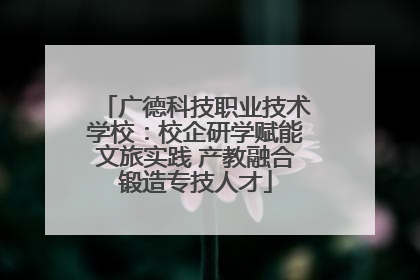 广德科技职业技术学校：校企研学赋能文旅实践 产教融合锻造专技人才
