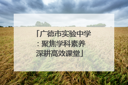 广德市实验中学：聚焦学科素养 深耕高效课堂
