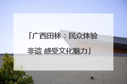 广西田林：民众体验非遗 感受文化魅力