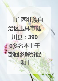 广西壮族自治区玉林市陆川县：3900多名本土干部回乡解纷促和