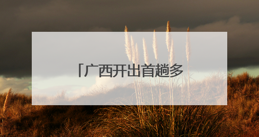 广西开出首趟多式联运物流总包外贸货物列车