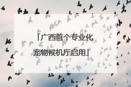 广西首个专业化宠物候机厅启用