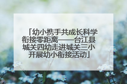 幼小携手共成长科学衔接零距离——台江县城关四幼走进城关三小开展幼小衔接活动