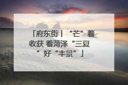 府东街丨“芒”着收获 看菏泽“三夏”好“丰景”