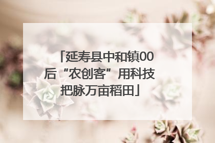 延寿县中和镇00后“农创客”用科技把脉万亩稻田