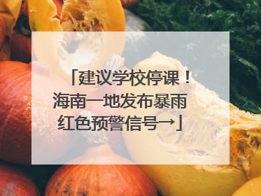 建议学校停课！海南一地发布暴雨红色预警信号→
